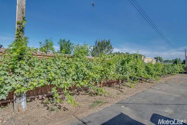 10195 Spring St, Galt, CA 95632 photo 25