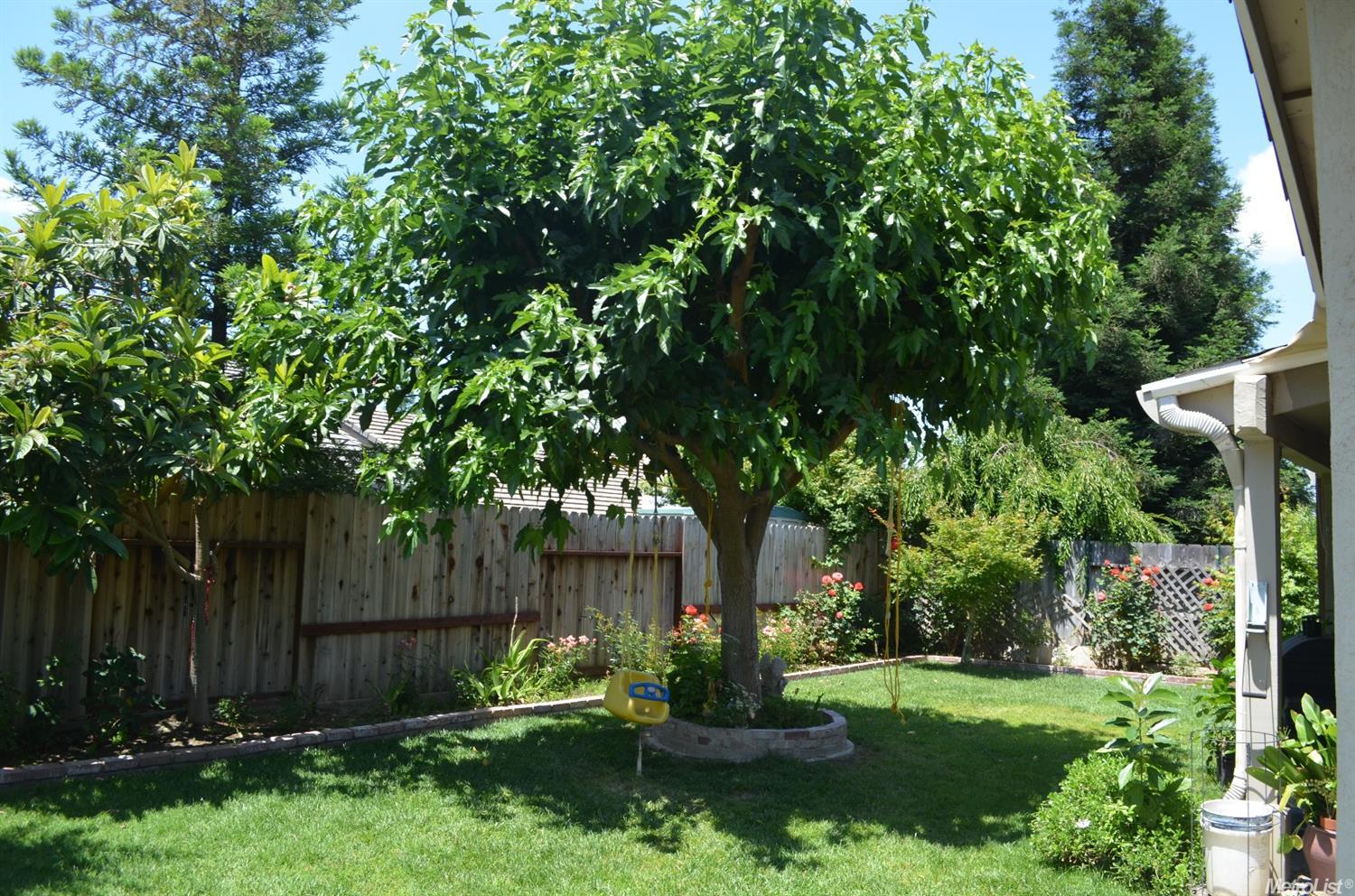 3831 Black Hawk Ave, Merced, CA 95340 photo 24