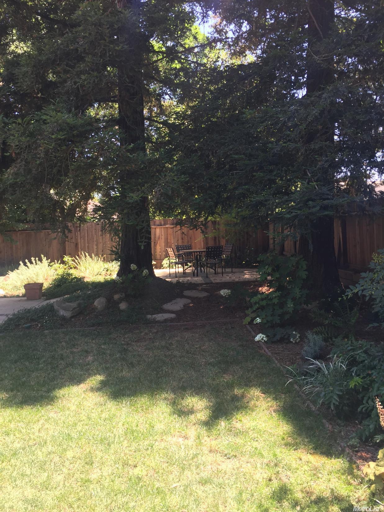 1908 Humboldt Ave, Davis, CA 95616 photo 13
