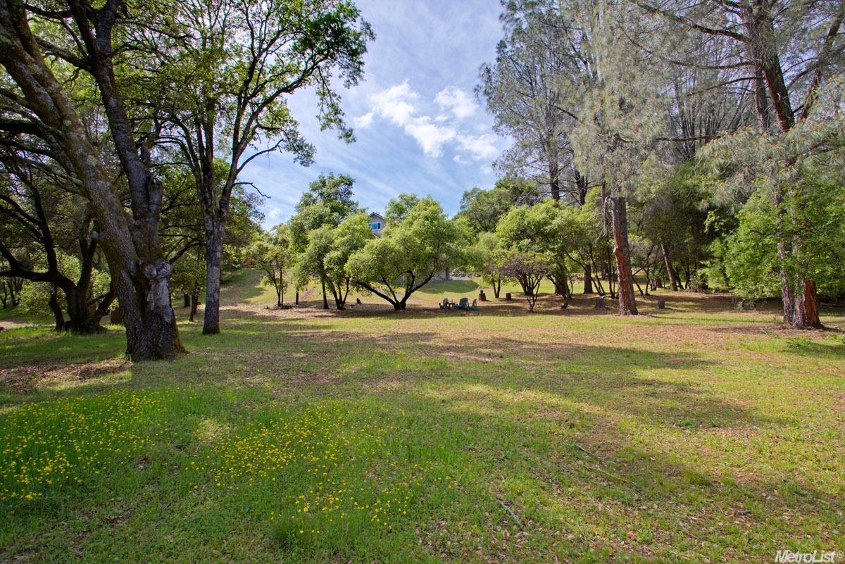 355 Cuckoo Ct, Applegate, CA 95703 photo 5