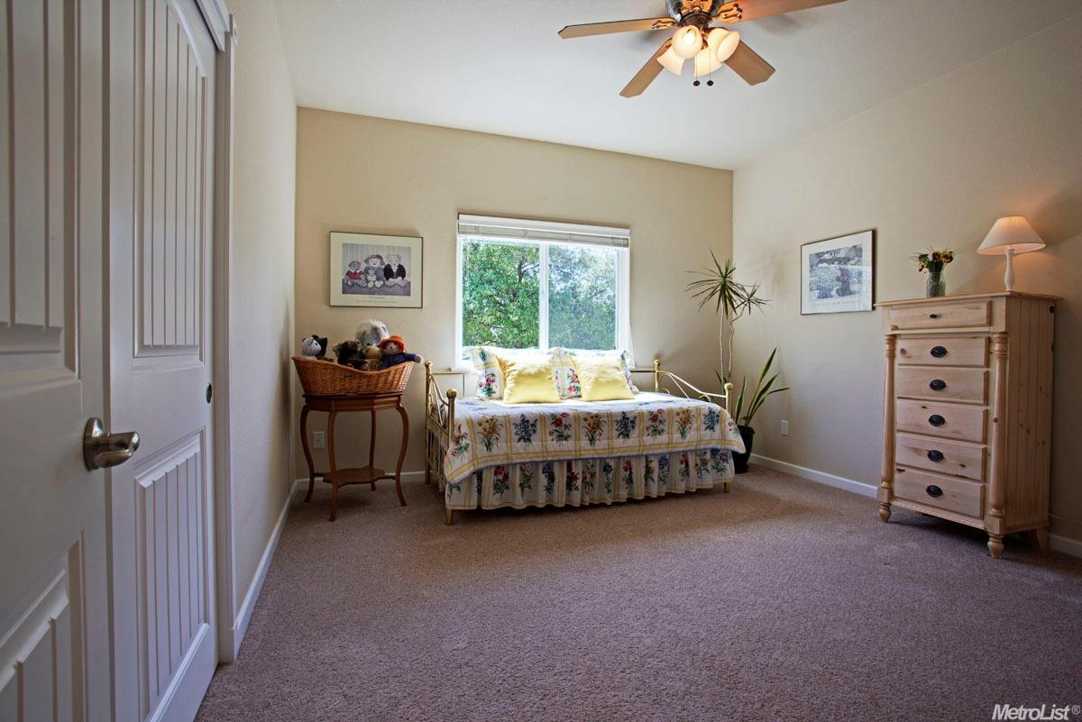 355 Cuckoo Ct, Applegate, CA 95703 photo 22