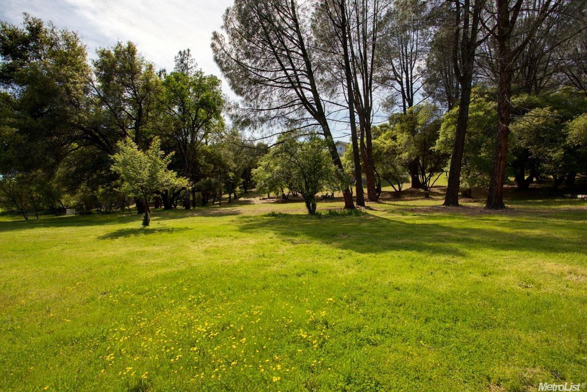 355 Cuckoo Ct, Applegate, CA 95703 photo 25