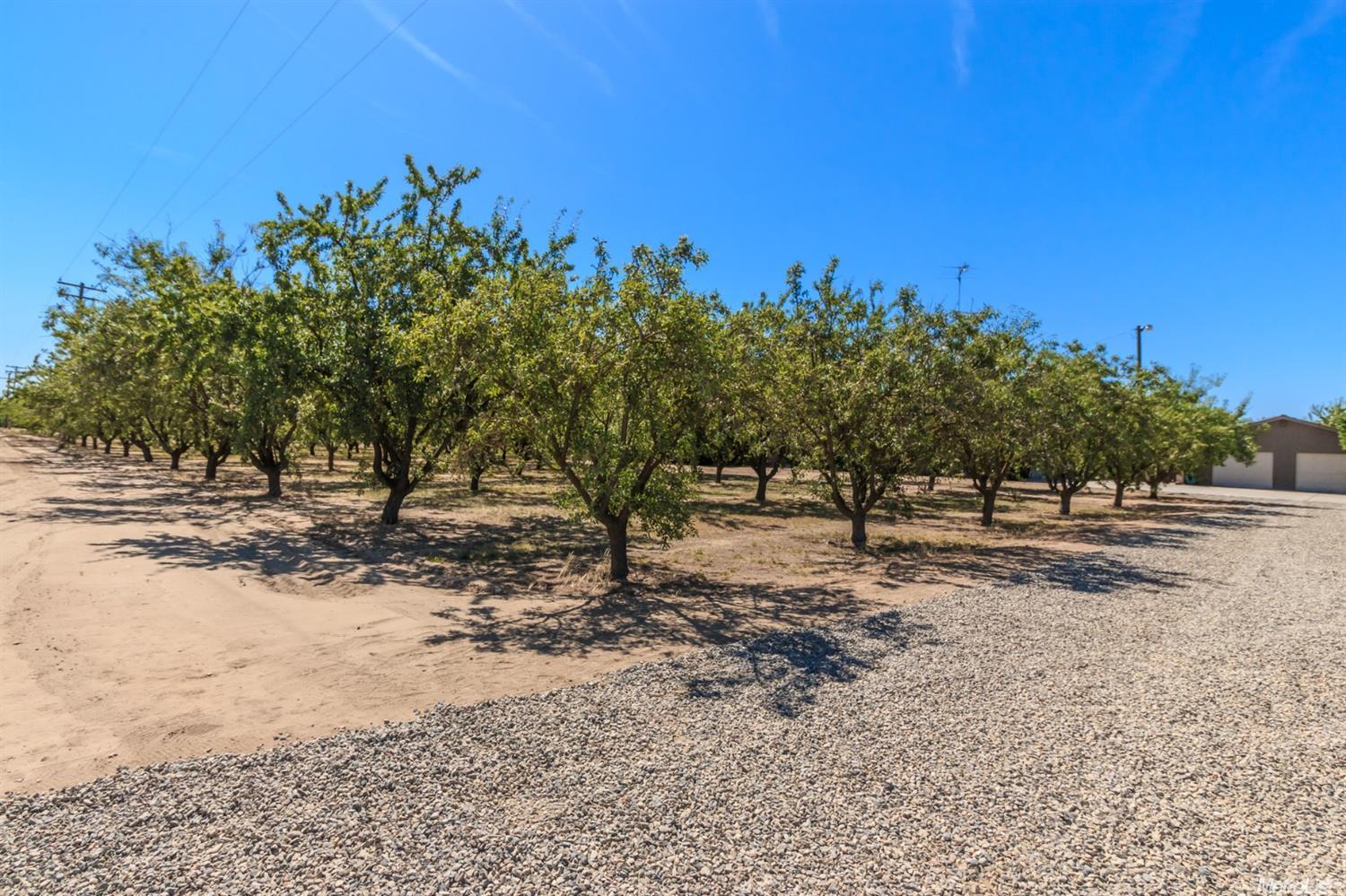 6600 E Grayson Rd, Hughson, CA 95326 photo 25