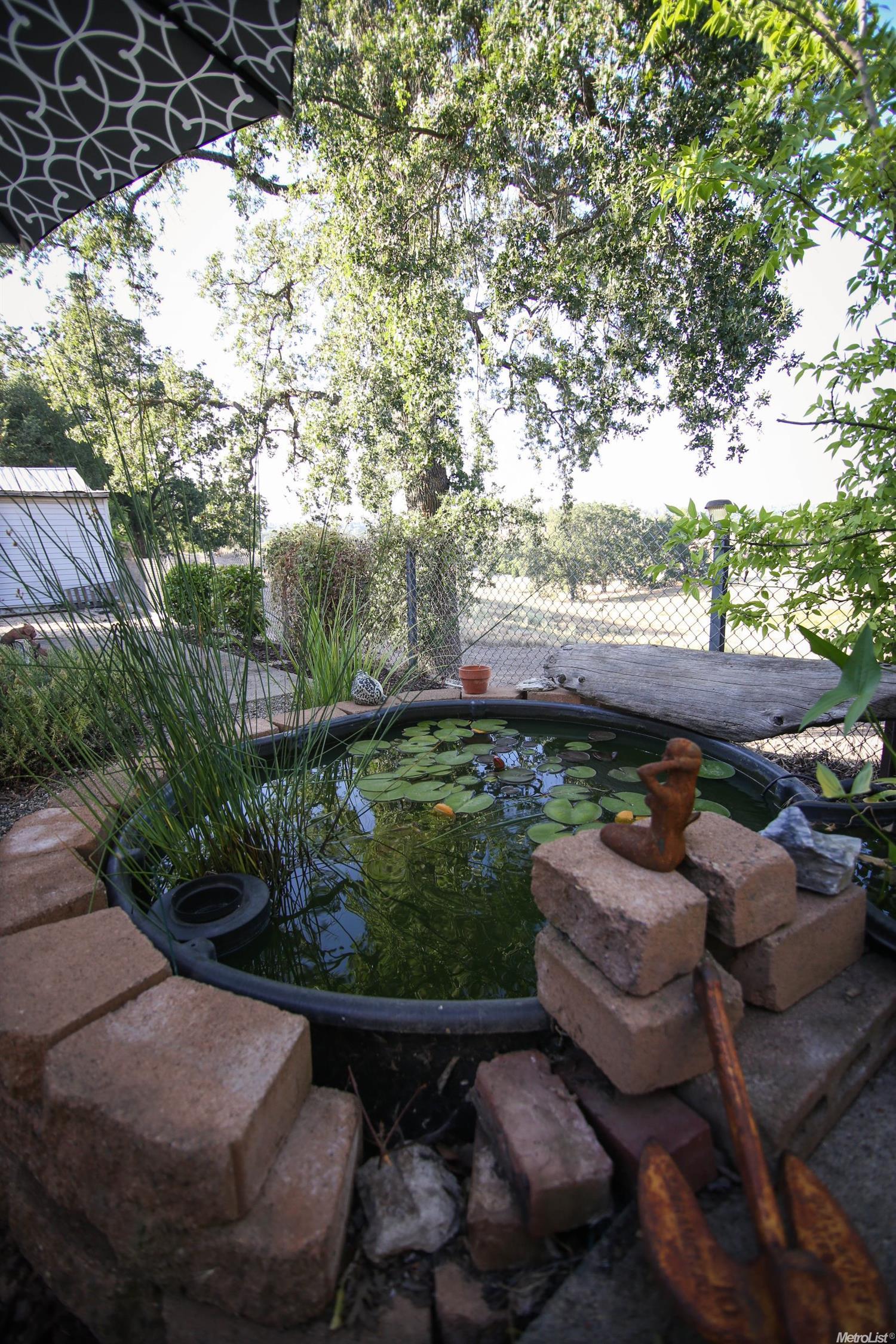 214 Golf Course Rd, Jackson, CA 95642 photo 18