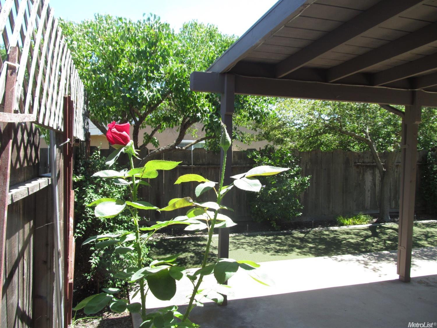 880 Georgetown Ave, Turlock, CA 95382 photo 23