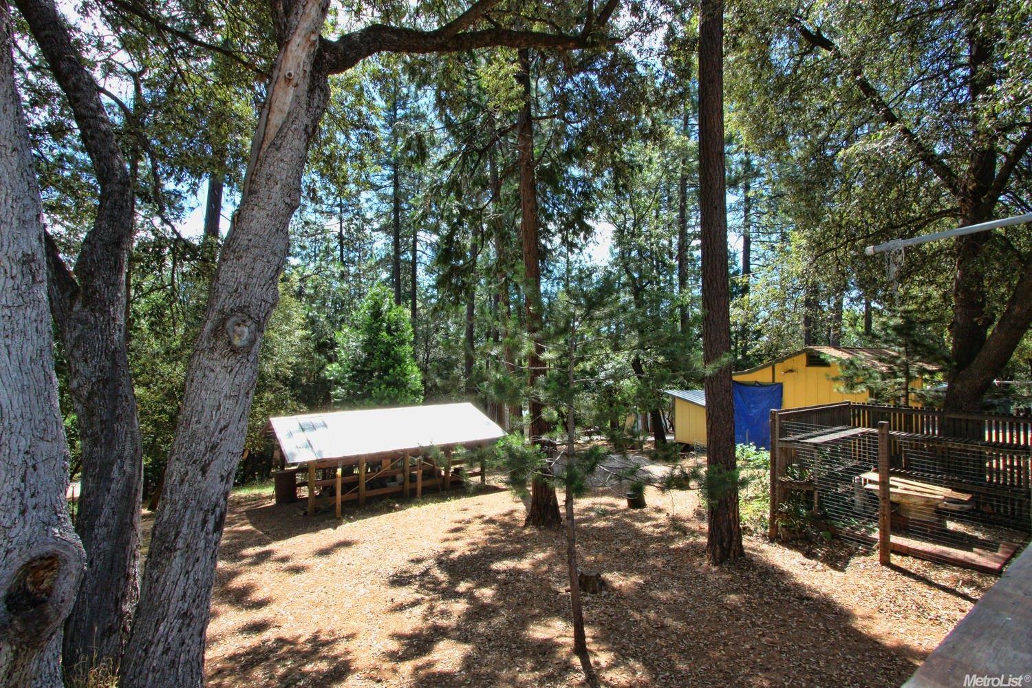12608 Eldel Rd, Pine Grove, CA 95665 photo 22