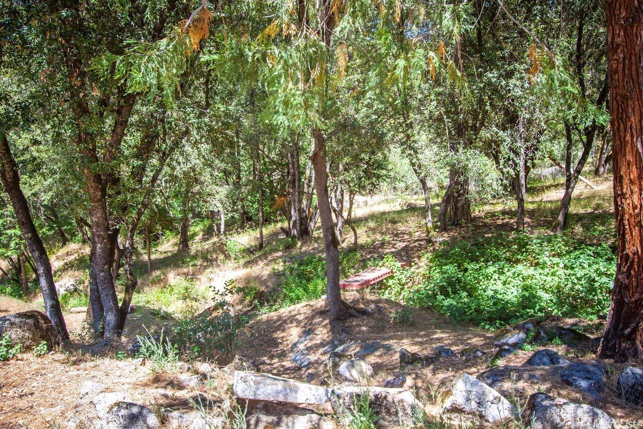 5687 Bucks Bar Rd, Placerville, CA 95667 photo 19