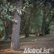 5687 Bucks Bar Rd, Placerville, CA 95667 photo 25