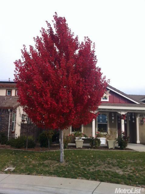 2169 Split Rail Ct, Rocklin, CA 95765 photo 24