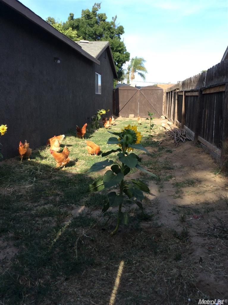 609 Summit Ct, Modesto, CA 95357 photo 22