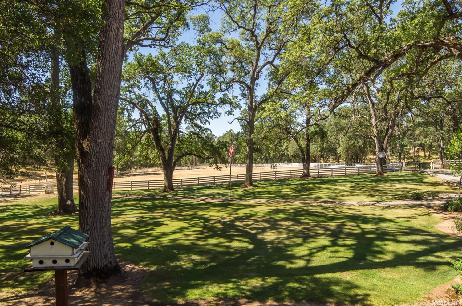 16848 Draper Mine Rd, Sonora, CA 95370 photo 14