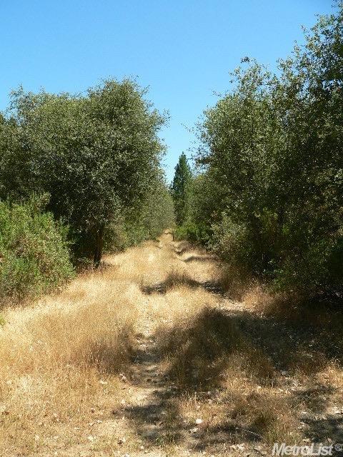 14007 Cook Ranch Rd, Sutter Creek, CA 95685 photo 12