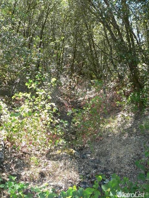 14007 Cook Ranch Rd, Sutter Creek, CA 95685 photo 4