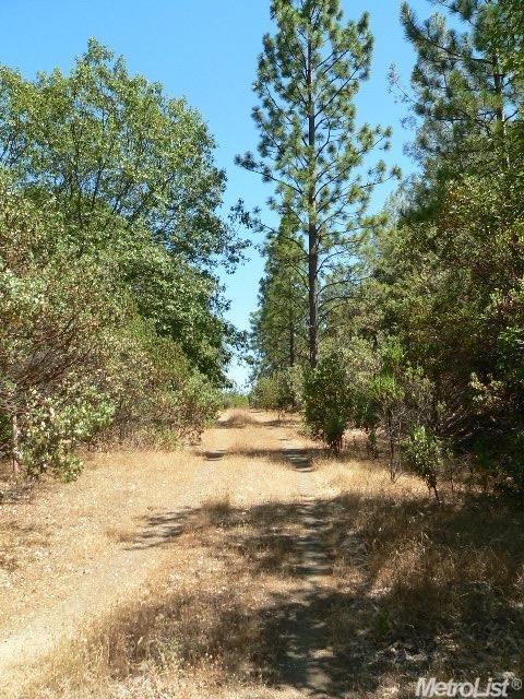 14007 Cook Ranch Rd, Sutter Creek, CA 95685 photo 13