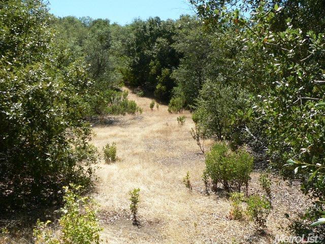 14007 Cook Ranch Rd, Sutter Creek, CA 95685 photo 11