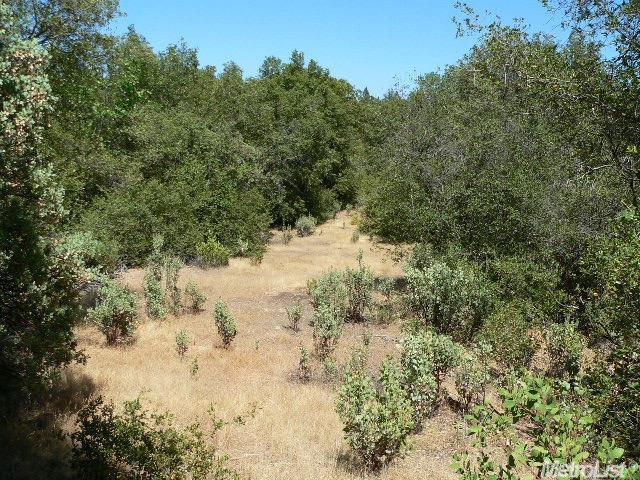 14007 Cook Ranch Rd, Sutter Creek, CA 95685 photo 2