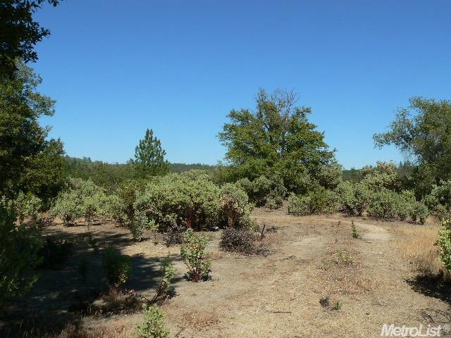 14007 Cook Ranch Rd, Sutter Creek, CA 95685 photo 1