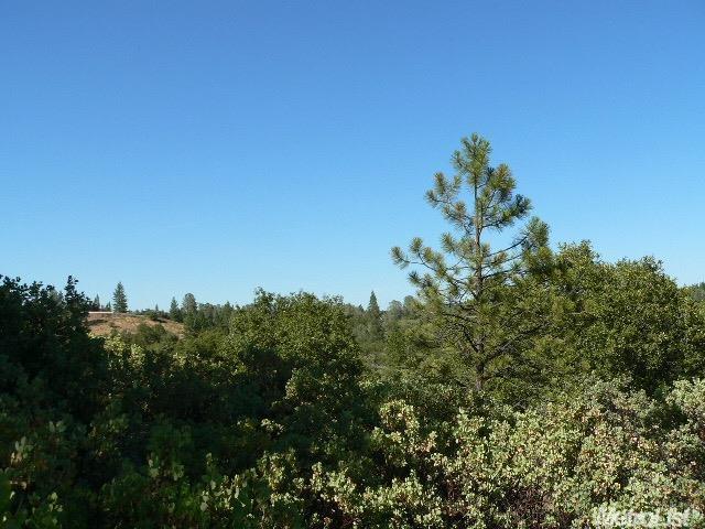 14007 Cook Ranch Rd, Sutter Creek, CA 95685 photo 23