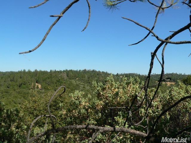 14007 Cook Ranch Rd, Sutter Creek, CA 95685 photo 25