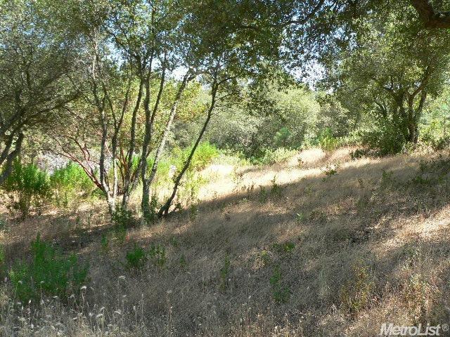 14007 Cook Ranch Rd, Sutter Creek, CA 95685 photo 18