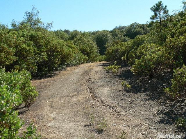 14007 Cook Ranch Rd, Sutter Creek, CA 95685 photo 15