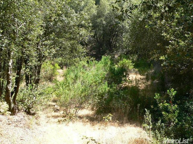 14007 Cook Ranch Rd, Sutter Creek, CA 95685 photo 16