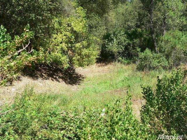 14007 Cook Ranch Rd, Sutter Creek, CA 95685 photo 5