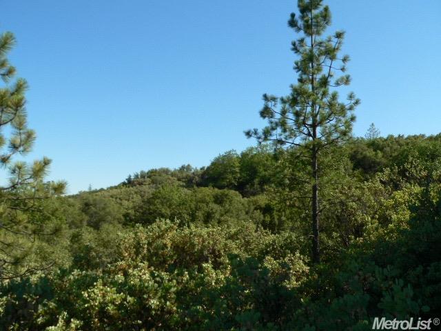 14007 Cook Ranch Rd, Sutter Creek, CA 95685 photo 21