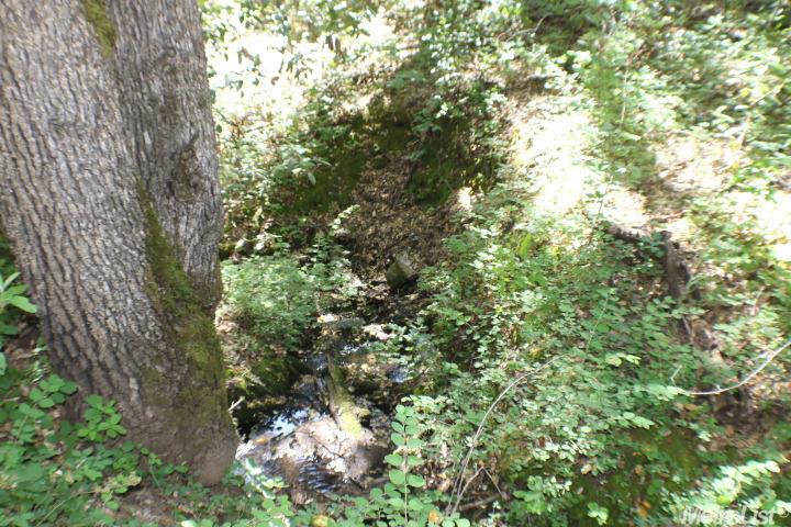 6152 Ladies Valley Rd, Placerville, CA 95667 photo 22