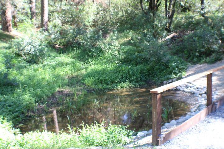 6152 Ladies Valley Rd, Placerville, CA 95667 photo 23