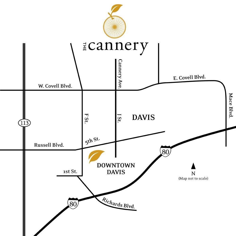 1684 Spring St, Davis, CA 95616 photo 2