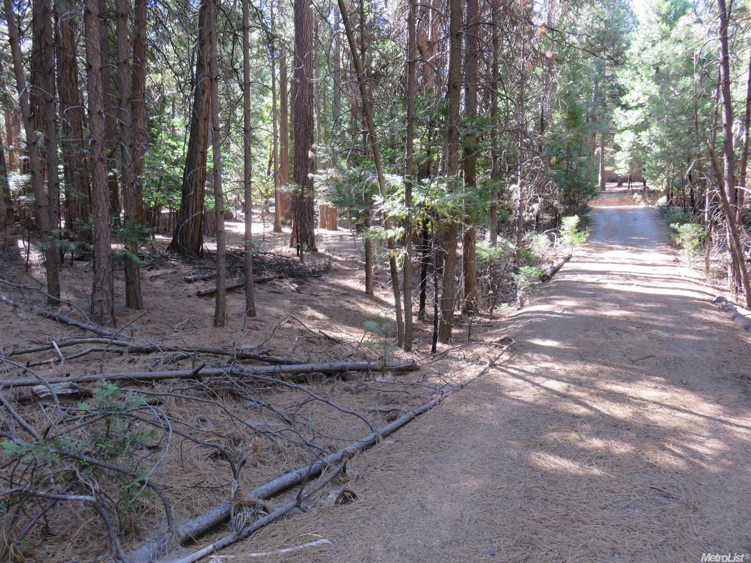 25367 Overland Dr, Volcano, CA 95689 photo 17
