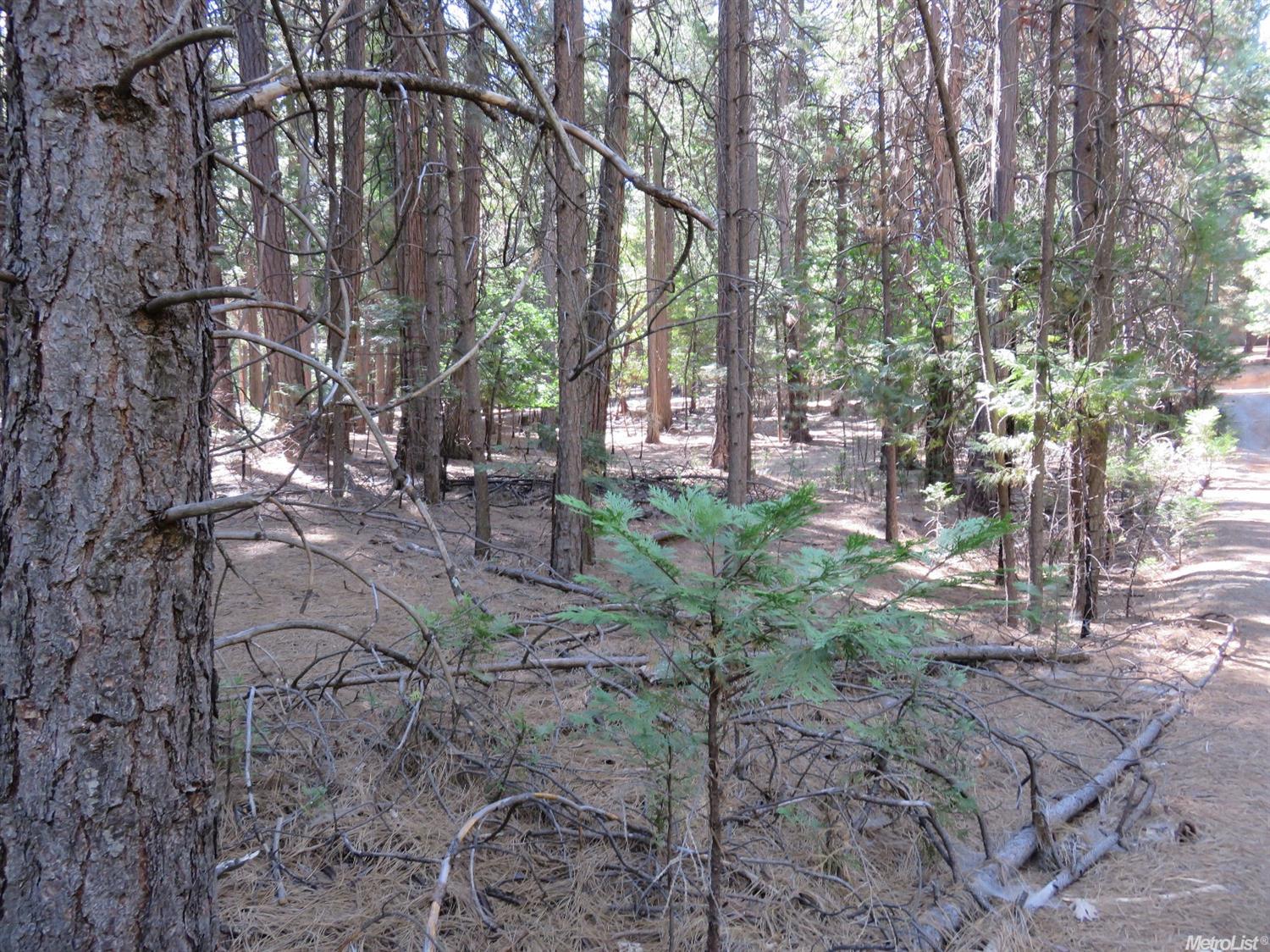 25367 Overland Dr, Volcano, CA 95689 photo 18
