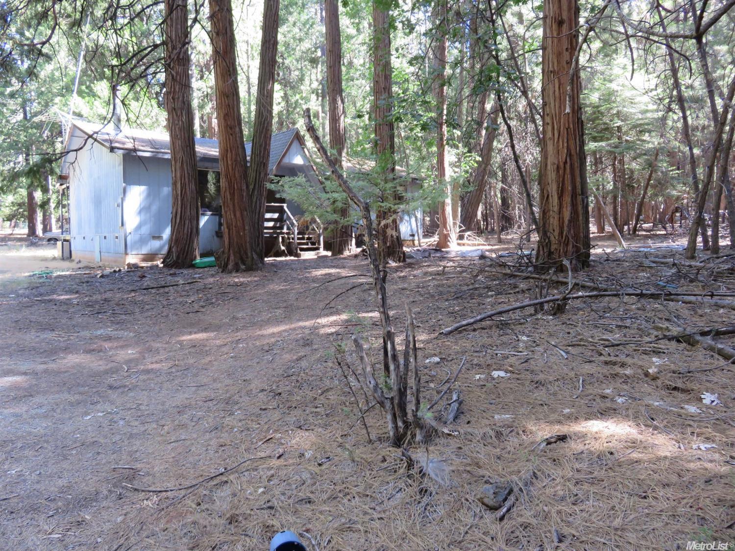 25367 Overland Dr, Volcano, CA 95689 photo 19
