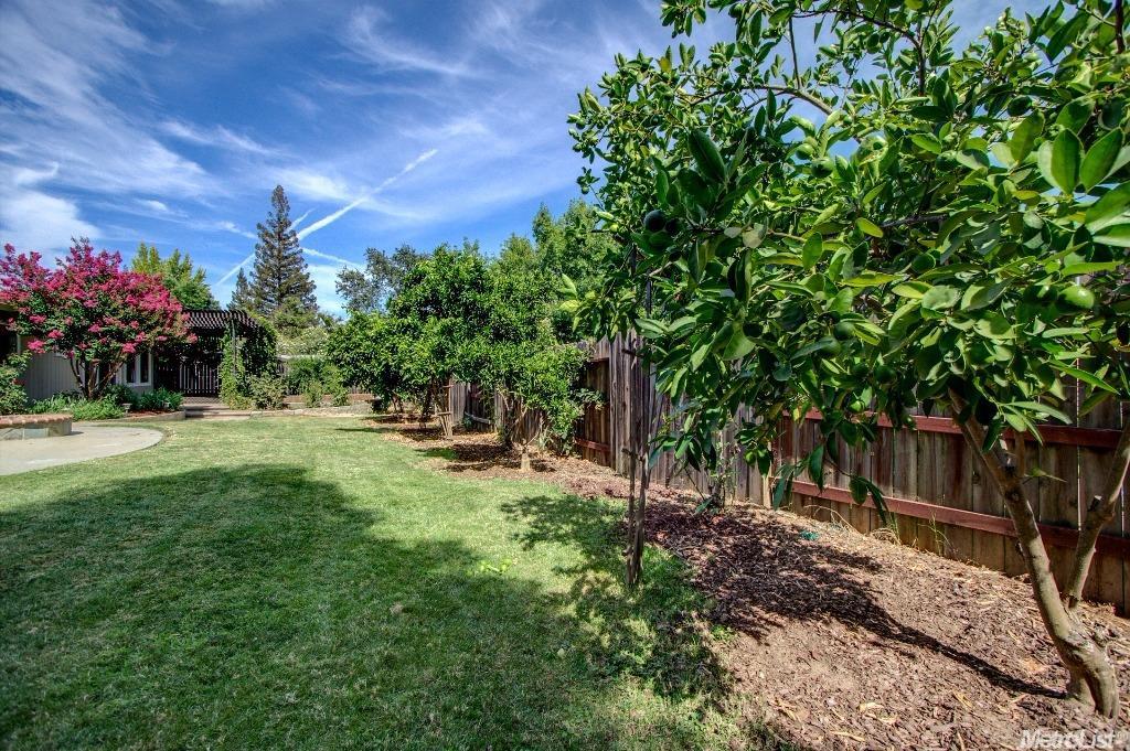 9520 Central Ave, Folsom, CA 95630 photo 24