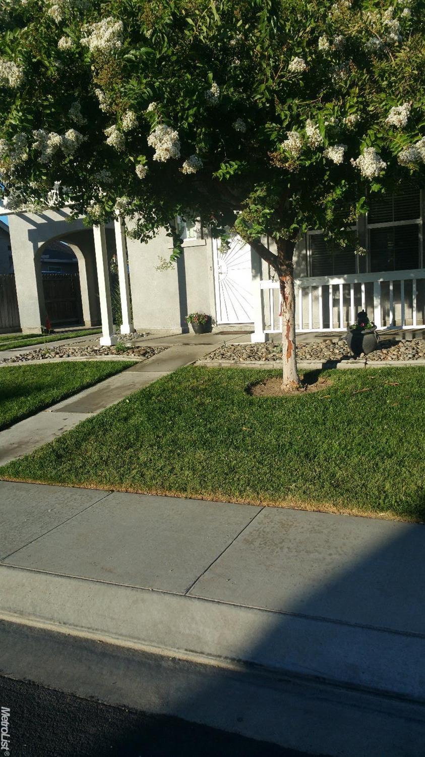 1152 Syracuse Ln, Manteca, CA 95336 photo 3