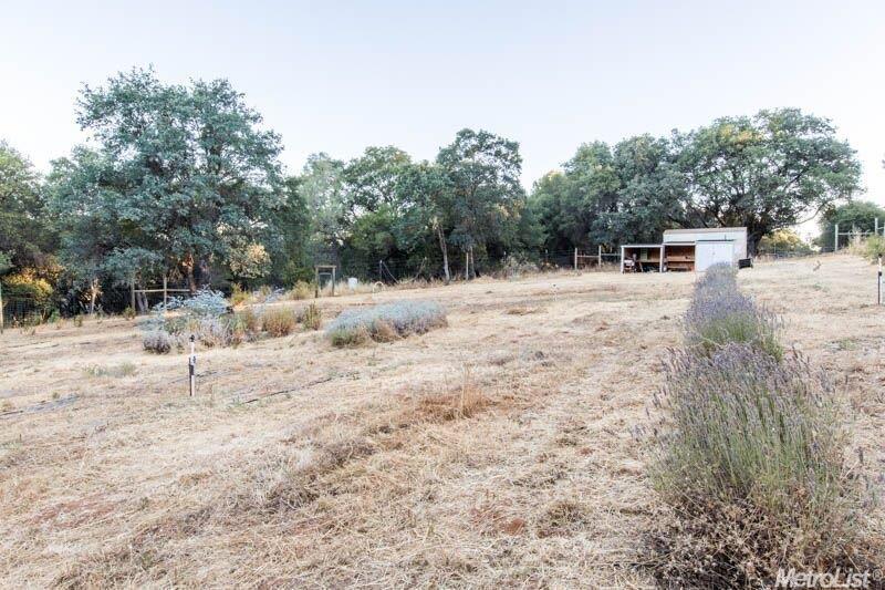 3561 State Highway 49, Cool, CA 95614 photo 15