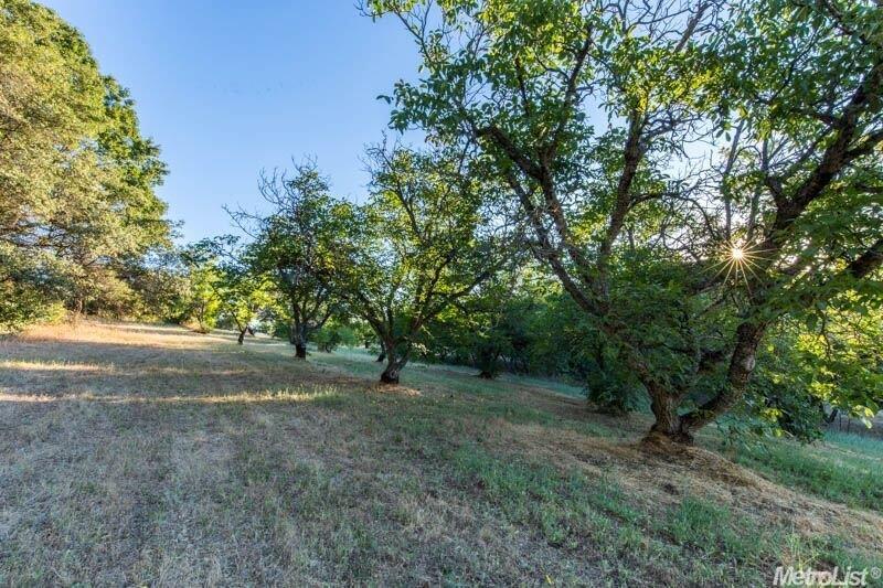 3561 State Highway 49, Cool, CA 95614 photo 17