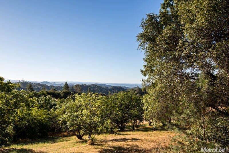 3561 State Highway 49, Cool, CA 95614 photo 22