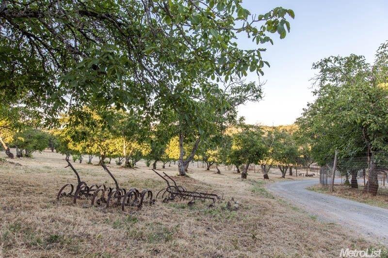 3561 State Highway 49, Cool, CA 95614 photo 16