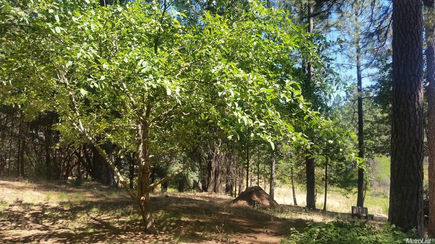 3090 Rolling Hills Dr, Georgetown, CA 95634 photo 22