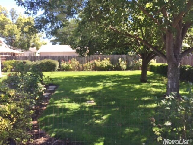 141 N Crawford St, Willows, CA 95988 photo 6