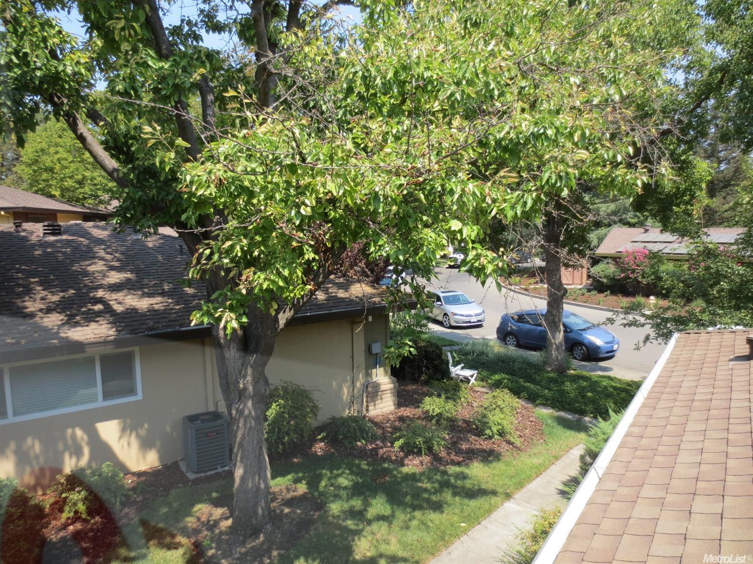 1742 Fremont Ct #3, Davis, CA 95618 photo 6