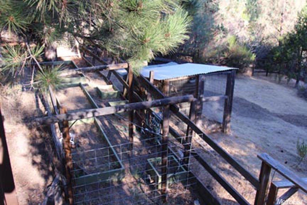 633 Cotter Ranch Rd, Applegate, CA 95703 photo 22