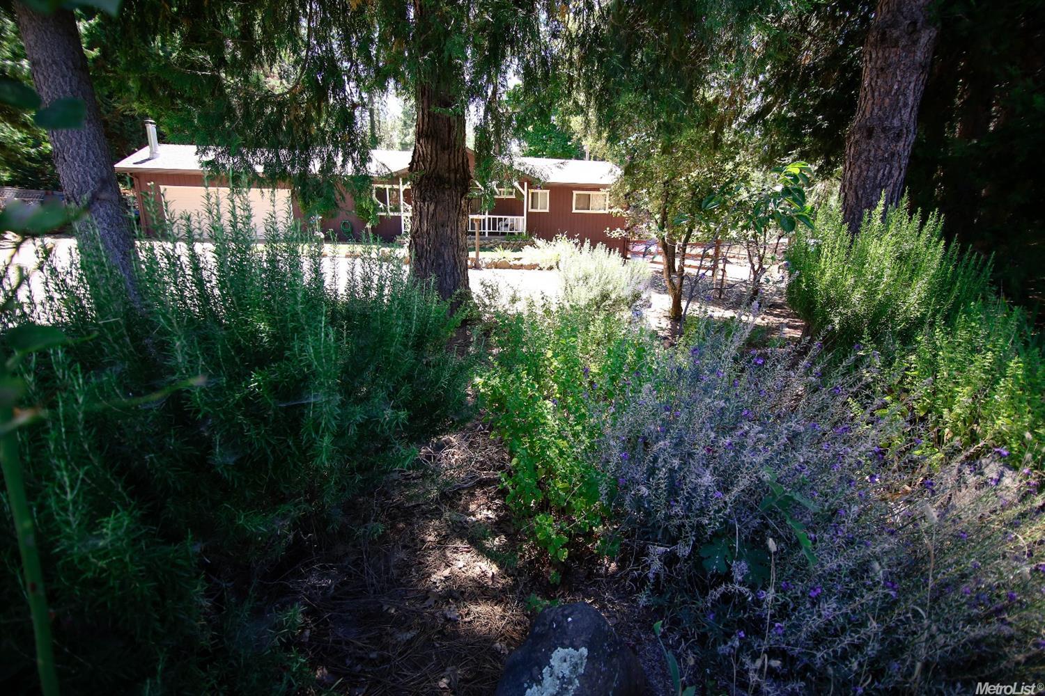 19417 Mella Dr, Volcano, CA 95689 photo 22