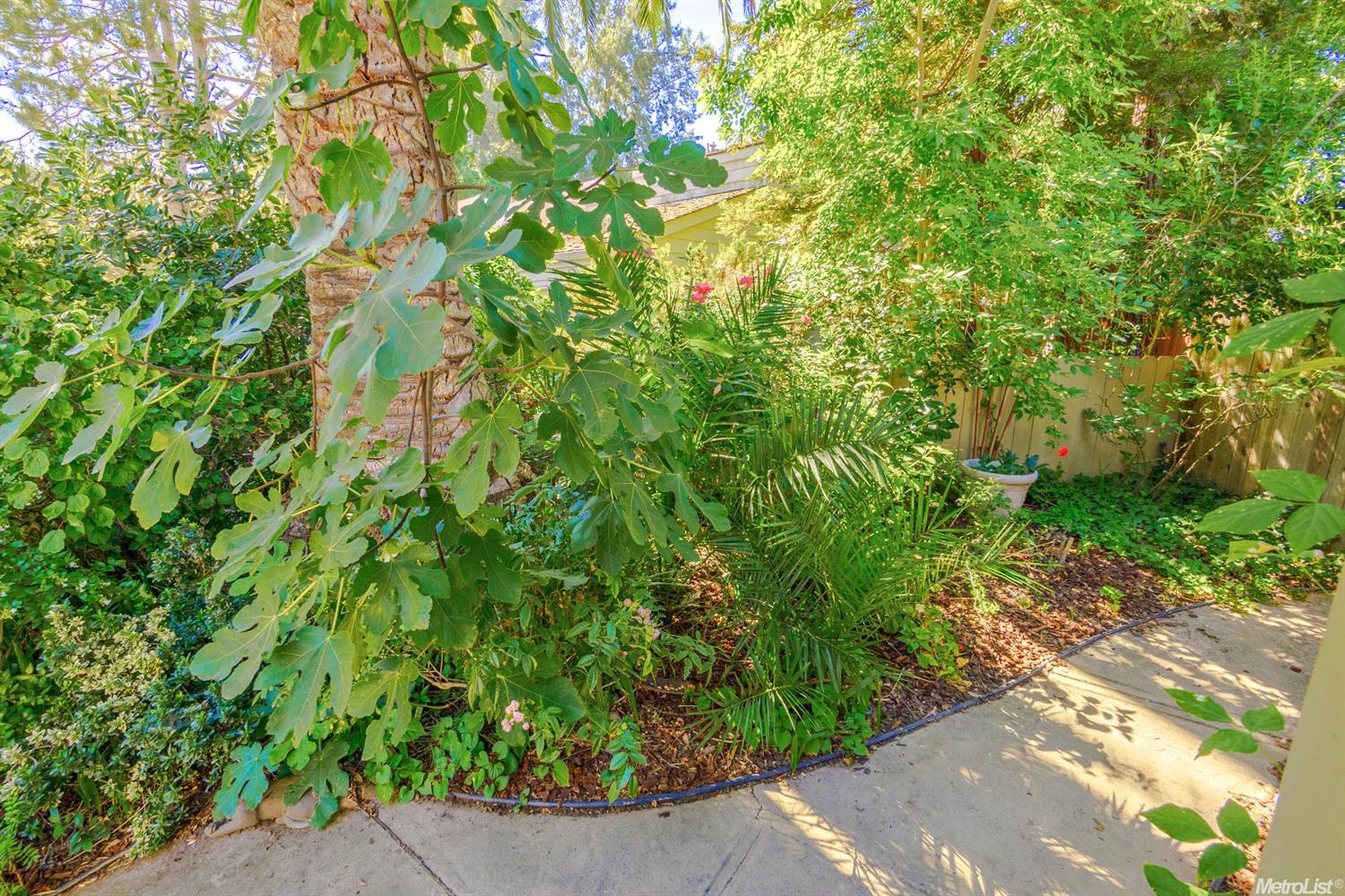 1830 Renoir Ave, Davis, CA 95618 photo 18