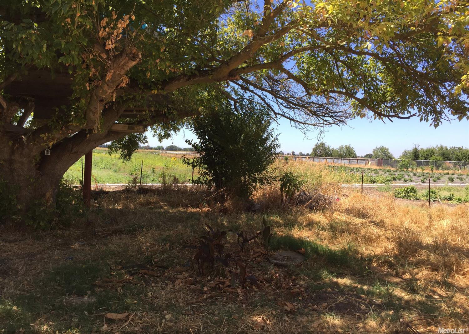 5414 E Morse Rd, Lodi, CA 95240 photo 18