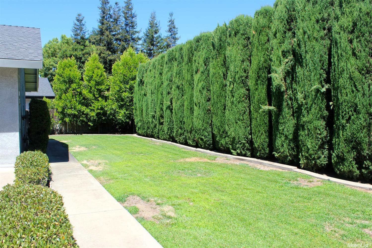 1043 Hartwick Ave, Turlock, CA 95382 photo 20
