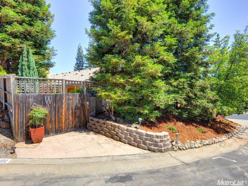 100 Echo Ct, Folsom, CA 95630 photo 24