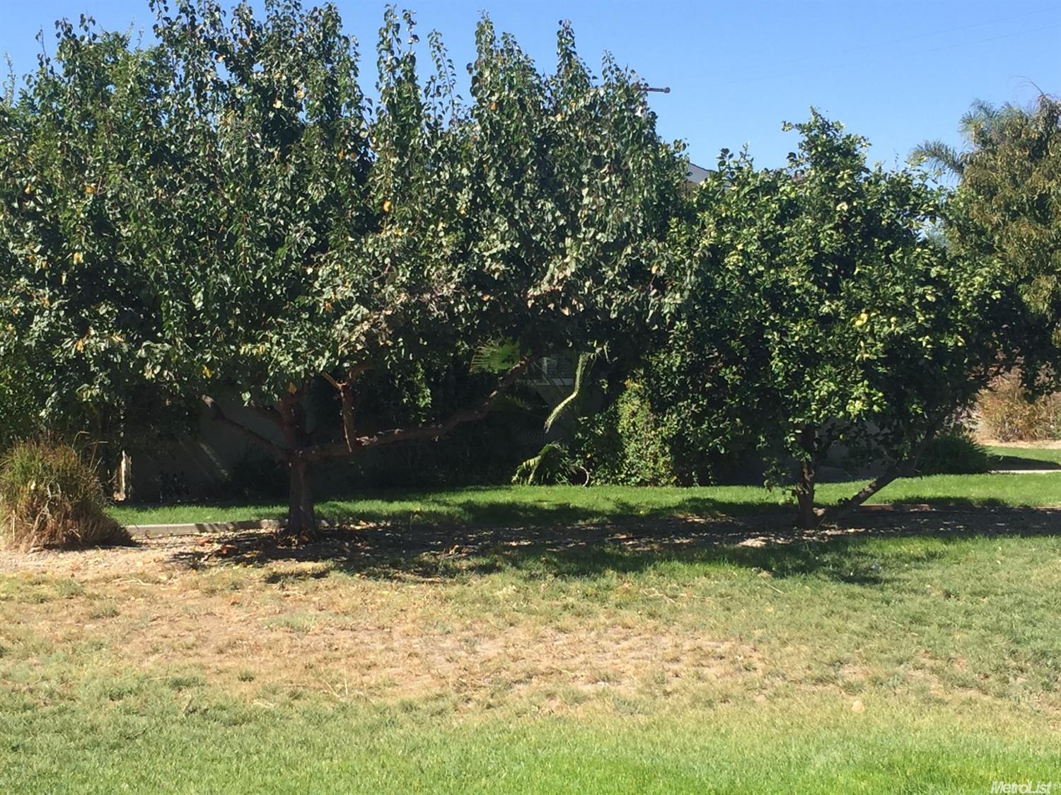 3405 S Macarthur Dr, Tracy, CA 95377 photo 22